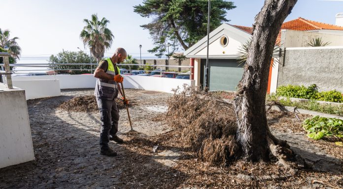 LIMPEZA DO CENTRO DE SAÚDE DO PORTO SANTO