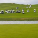 campogolfe010