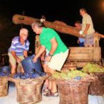 festa-das-vindimas-12
