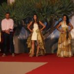 festa-das-vindimas-6