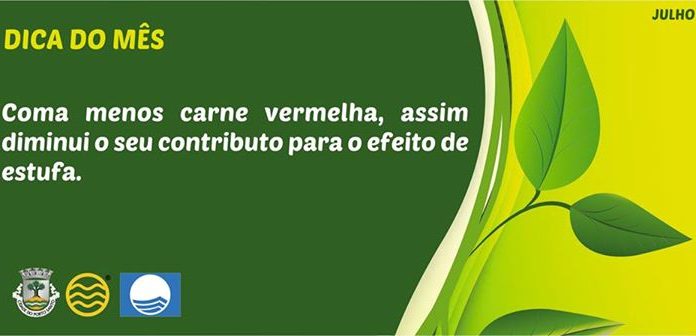 A produção de carne bovina é uma das atividades que mais contribui para o efeito