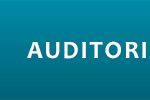 auditorias
