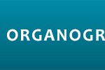organograma
