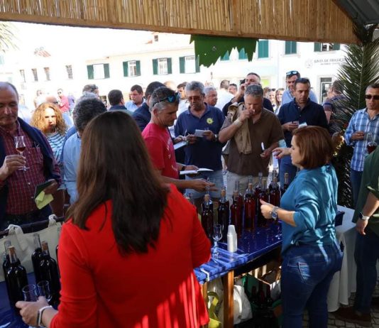 V Concurso de Vinhos do Porto Santo