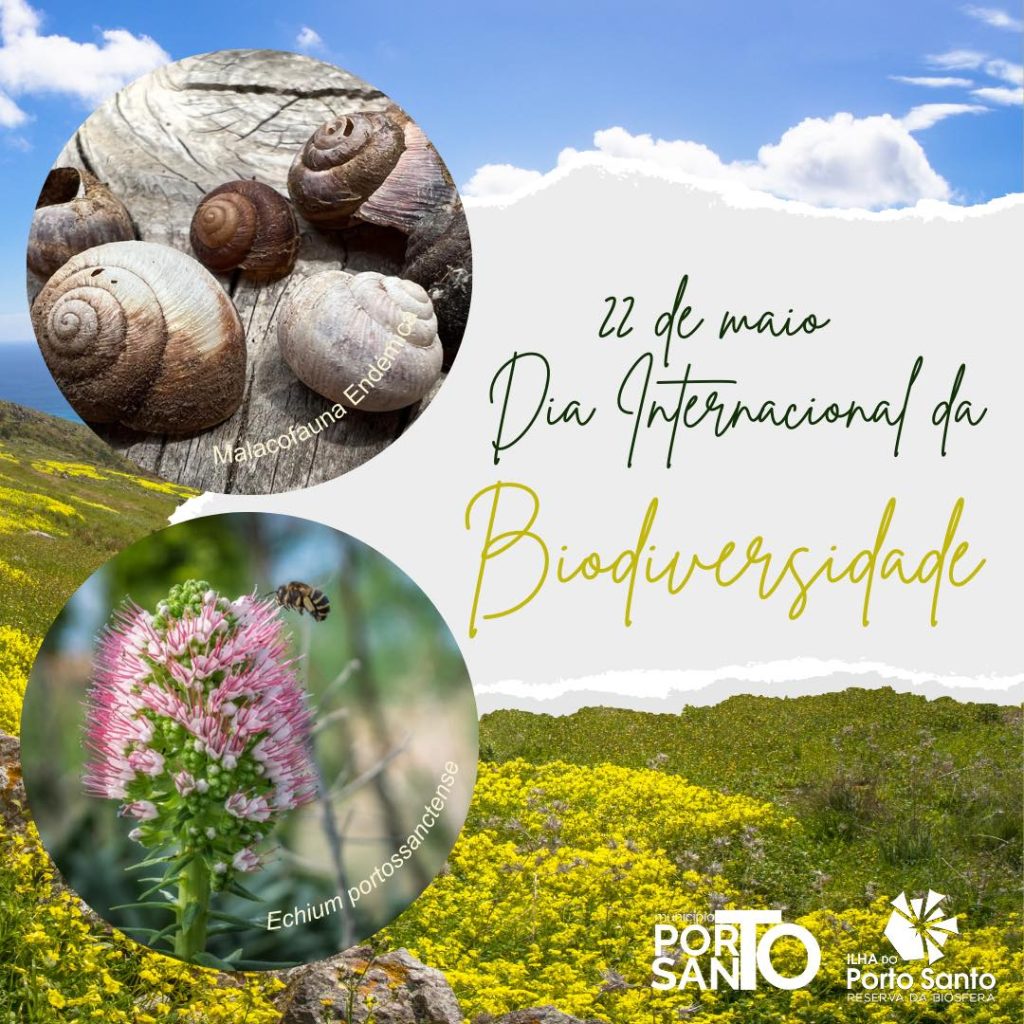 22 DE MAIO – DIA INTERNACIONAL DA BIODIVERSIDADE