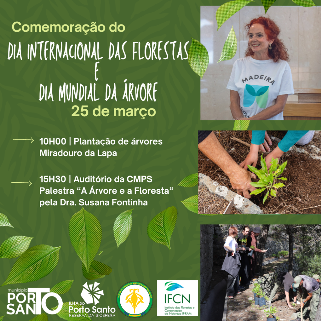 DIA INTERNACIONAL DAS FLORESTAS E DIA MUNDIAL DA ÁRVORE