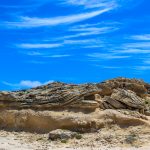 IMG_0984