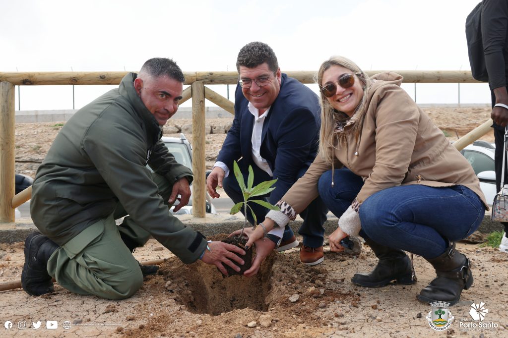 PORTO SANTO CELEBRA DIA DAS FLORESTAS E DA ÁRVORE