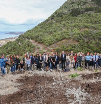 JUNTOS PLANTAMOS O FUTURO NO PORTO SANTO
