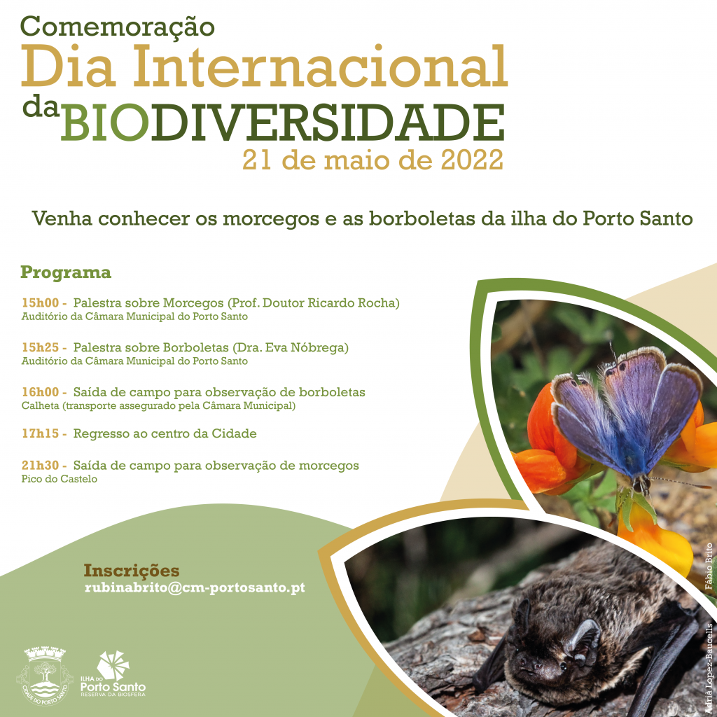 Dia Internacional da Biodiversidade – Venha conhecer os morcegos e as borboletas da Ilha do Porto Santo
